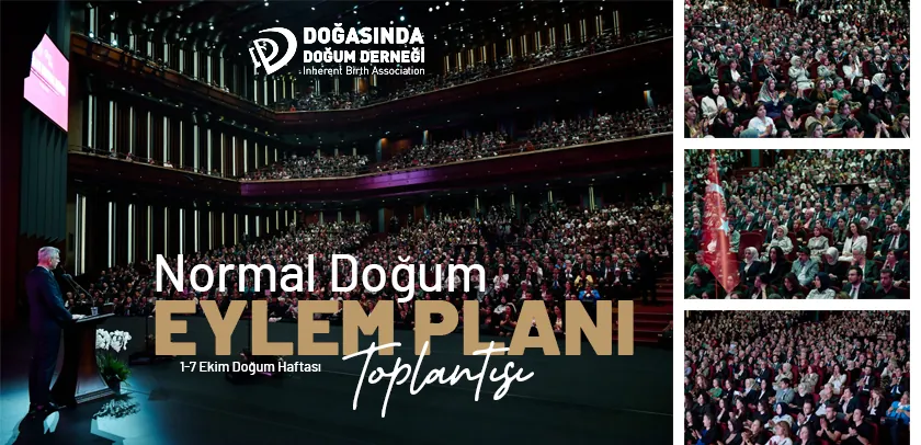 Normal Doğum Eylem Planı Toplantısı