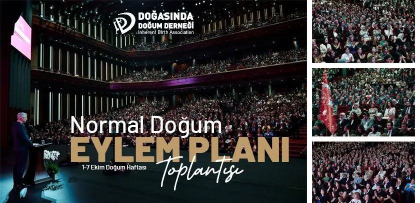 Normal Doğum Eylem Planı Toplantısı